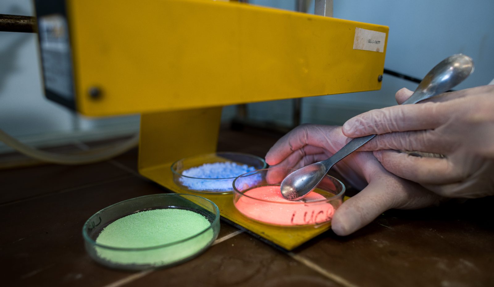 Fluorescent pigment samples in petri dishes under a UV lamp